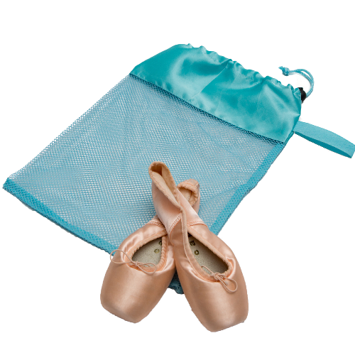 Ballet Flats Shoe Bag